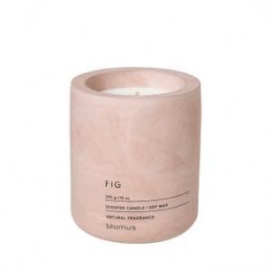 fraga fig